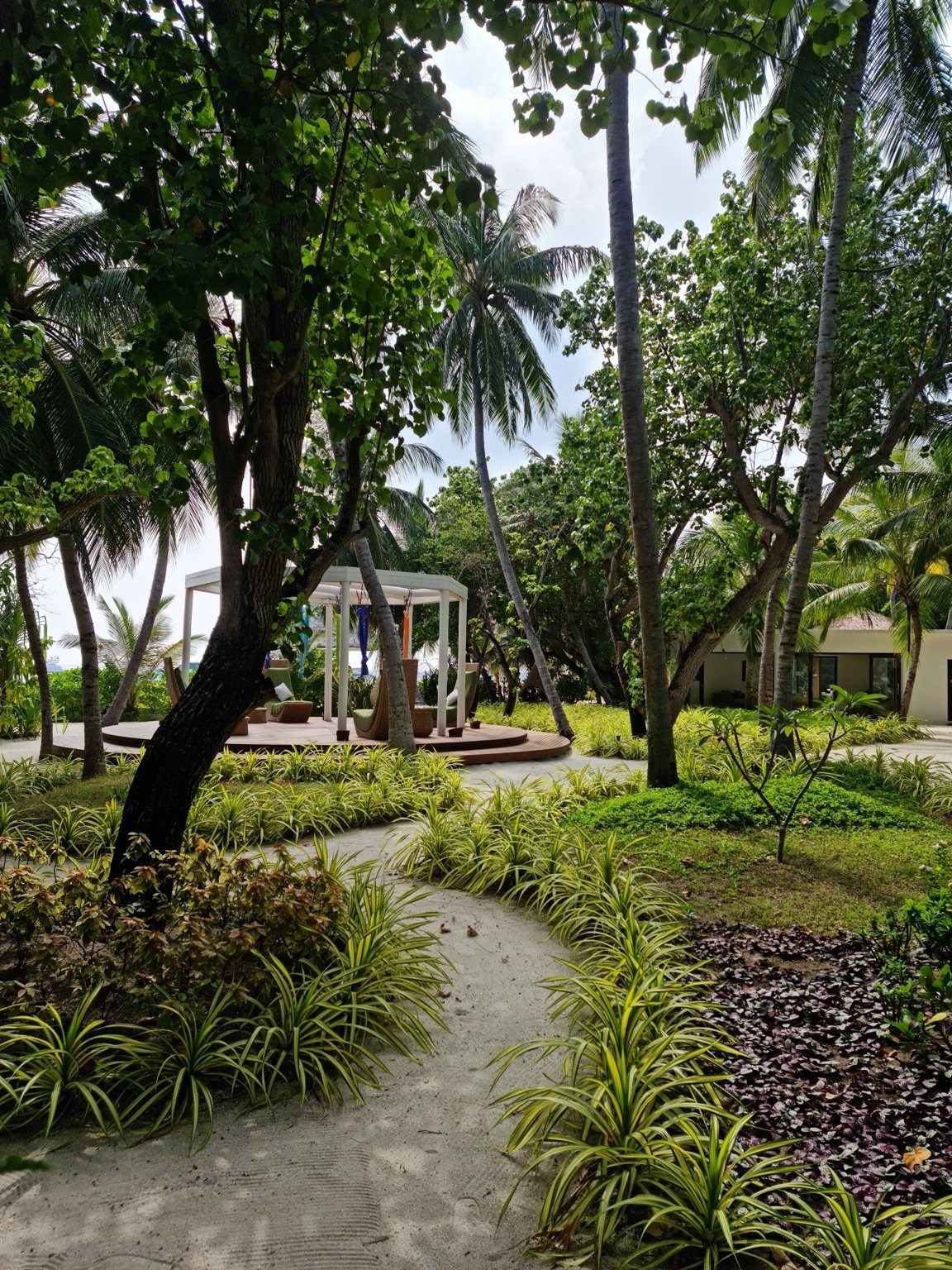 Rainy tropical resort scene