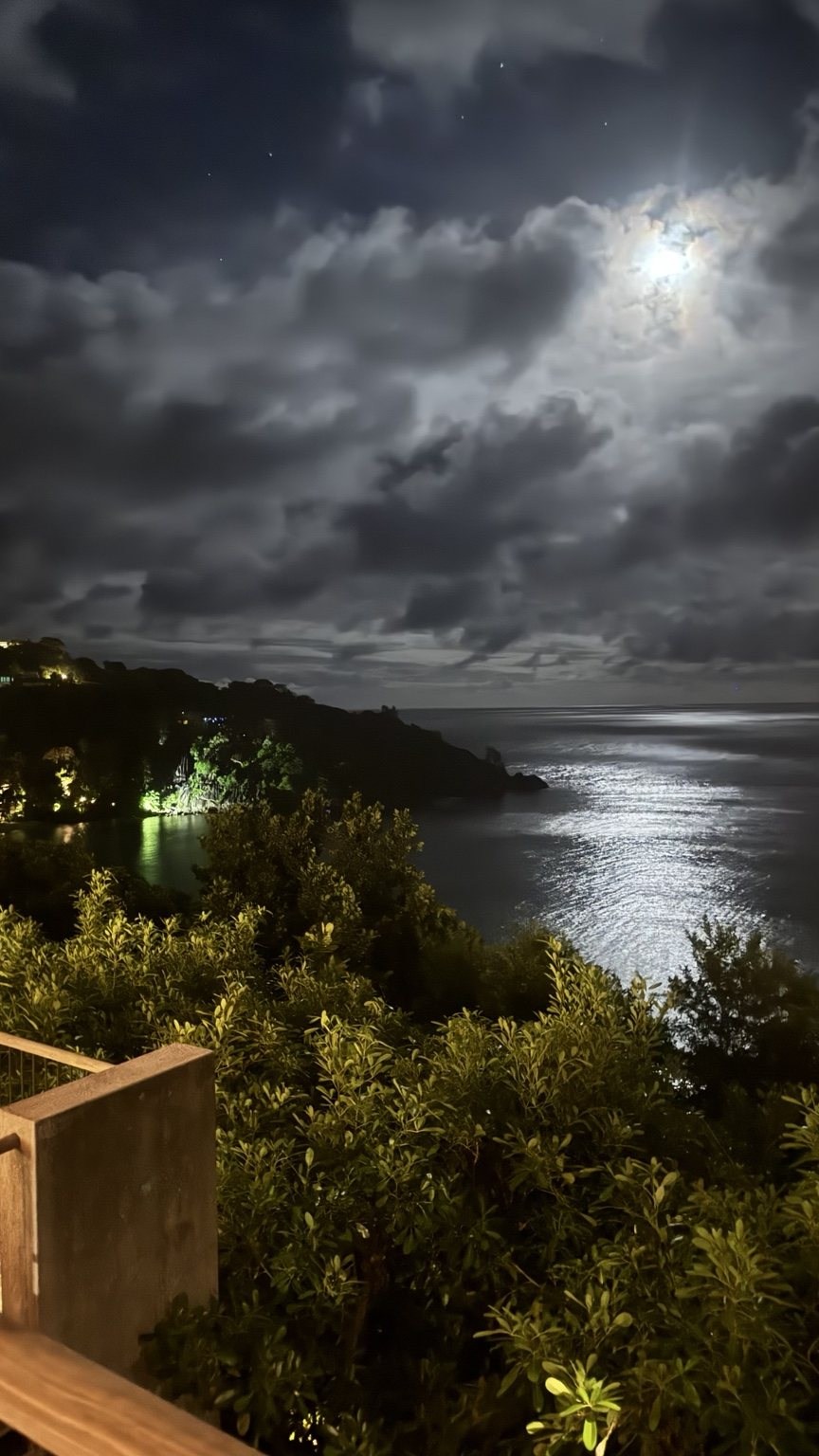 Oceanfront villa travel content